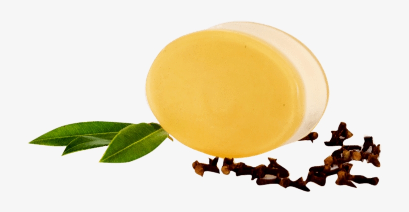 Clove Myrtle Body Bar - Dairy, transparent png download