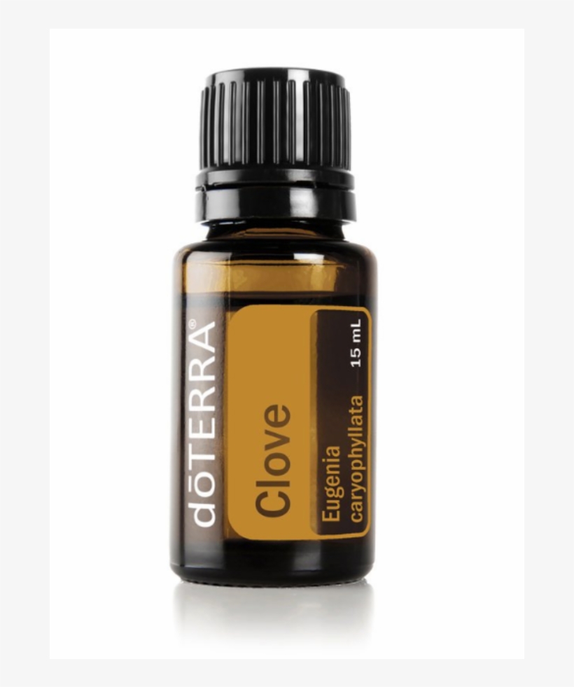 Siberian Fir Doterra Png, transparent png download