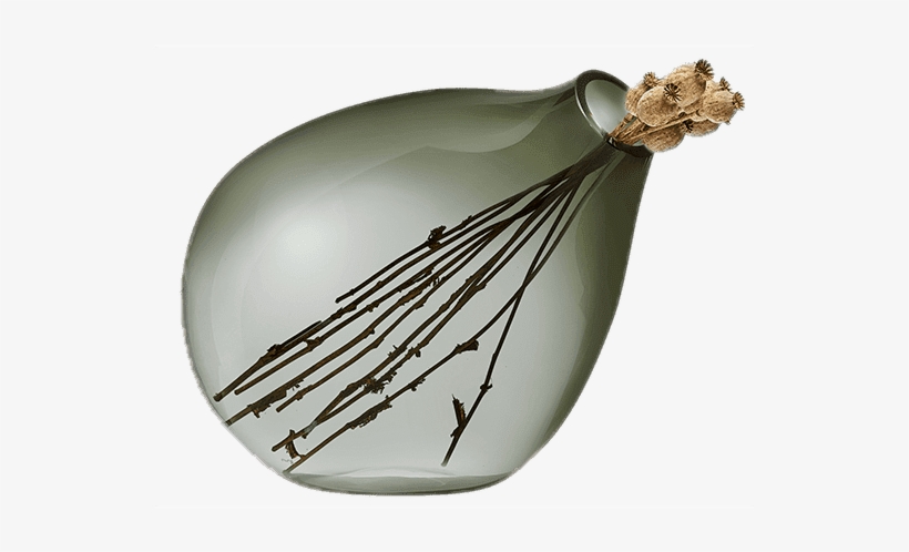 Living - Vegetable, transparent png download