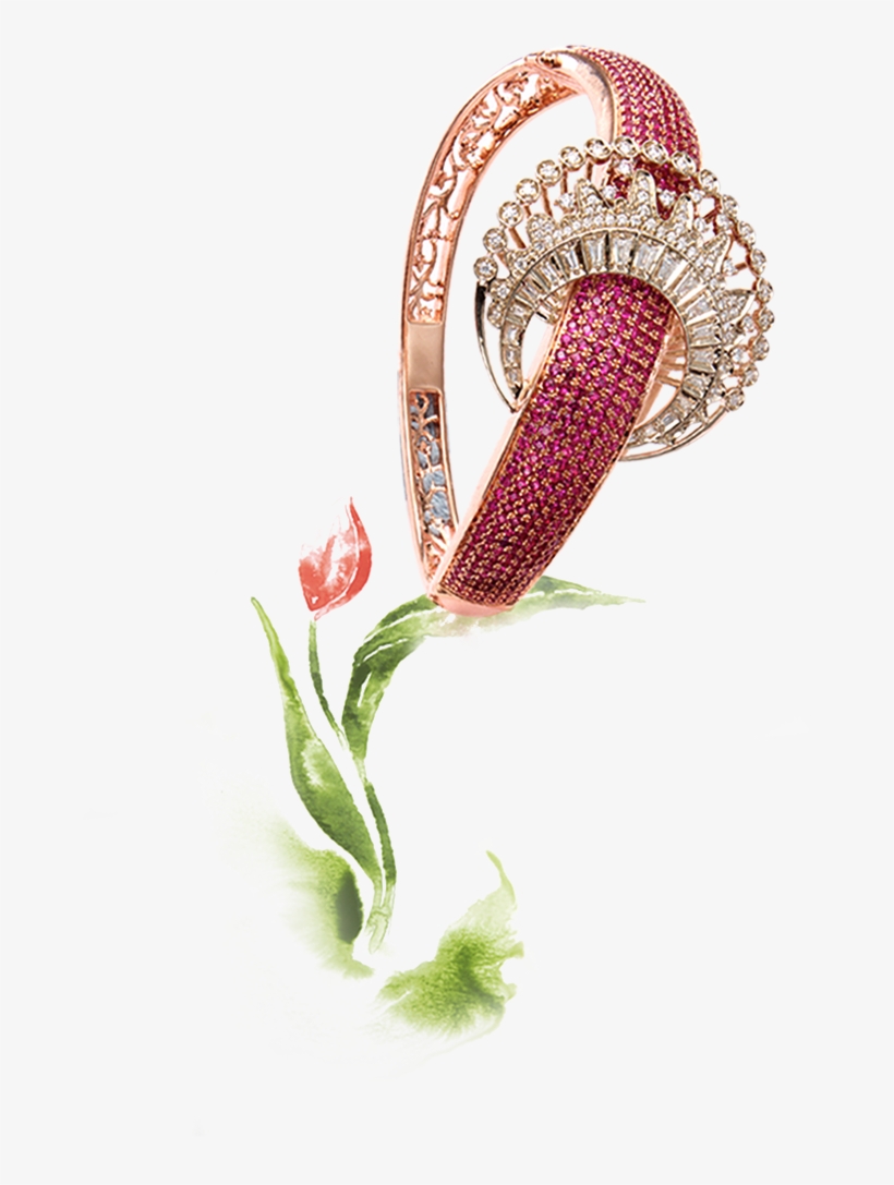 Explore Spring - Illustration, transparent png download