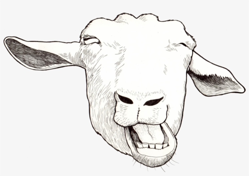 Funny Goat - Sketch, transparent png download