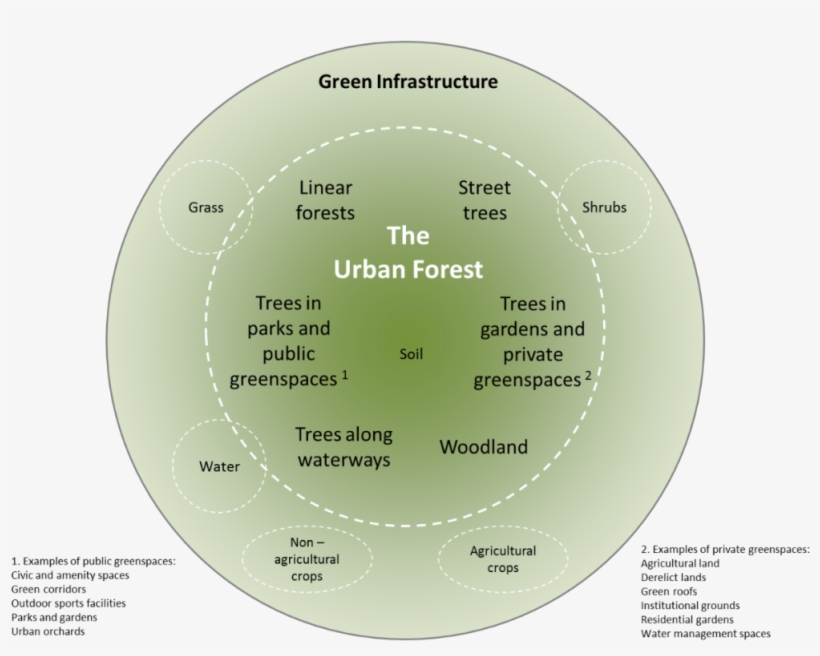 Illustration Of Our Definition Of The Urban Forest - Urban Forests Benefits, transparent png download