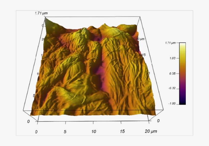 3d Reconstruction Of Afm Image On Non-tattoo Portion - Illustration, transparent png download