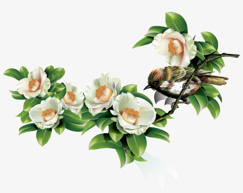 Green Leaves And Birds In Spring - Japanese Camellia, transparent png download
