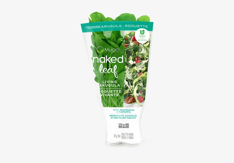 Arugula Sleeve New - Aloe, transparent png download