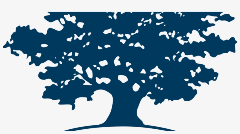 Logo Ashoka - Ashoka Logo Png, transparent png download