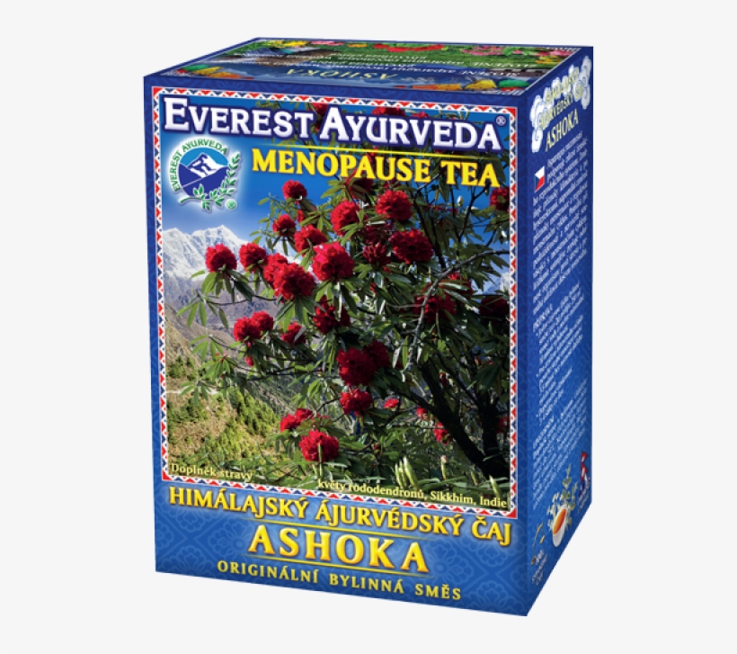 Ashoka - Ayurveda, transparent png download