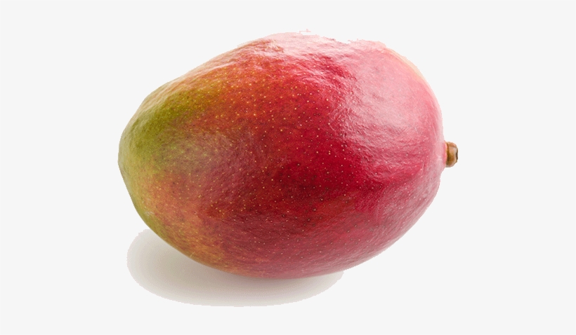 Vandyk Mango - Mango, transparent png download