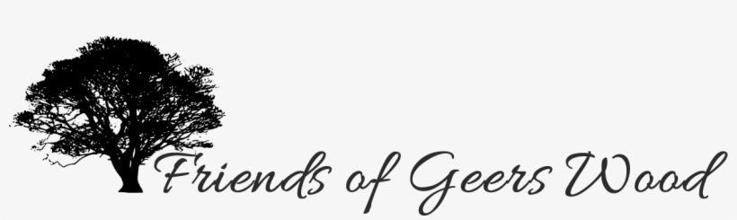 We Are A Community That Has Come Together To Preserve - Calligraphy, transparent png download