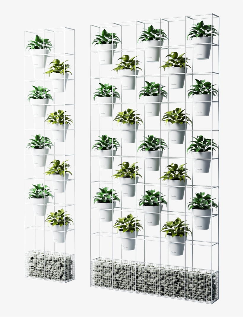 Partion Garden - Chamomile, transparent png download