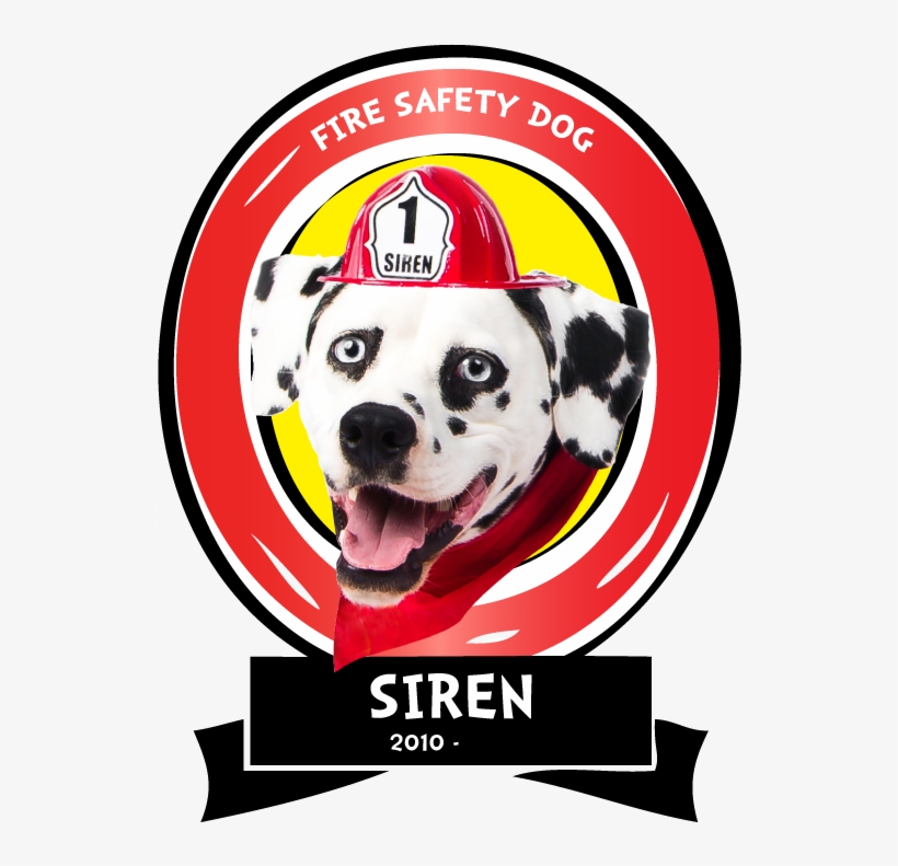 Siren The Fire Safety Dog Born In 2010 With A Crooked - Dalmatian, transparent png download