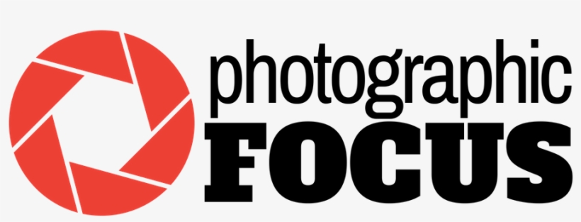 Polo Logo - Graphic Design, transparent png download