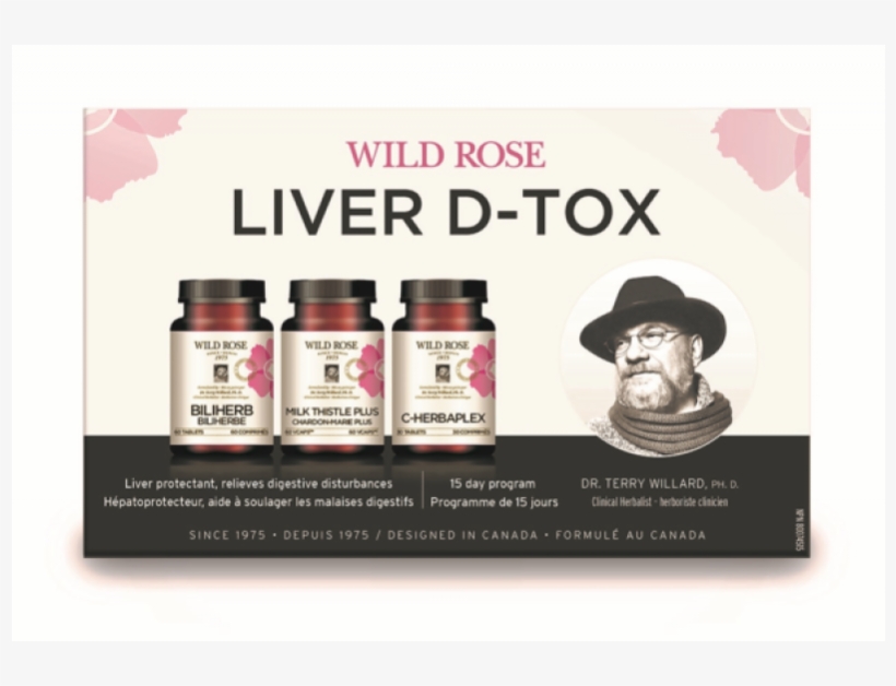 Wild Rose - Liver, transparent png download