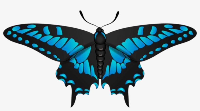 Free Png Butterfly Blue Black Png Images Transparent - Papilio, transparent png download