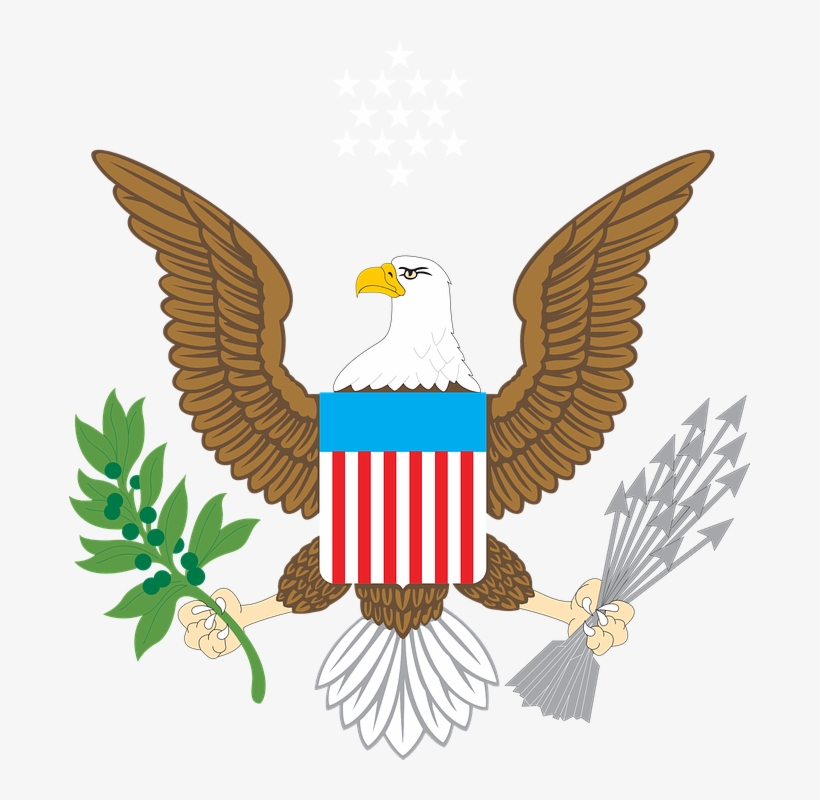 American Emblem Free Vector Graphic On Pixabay - American Bald Eagle Clip Art, transparent png download