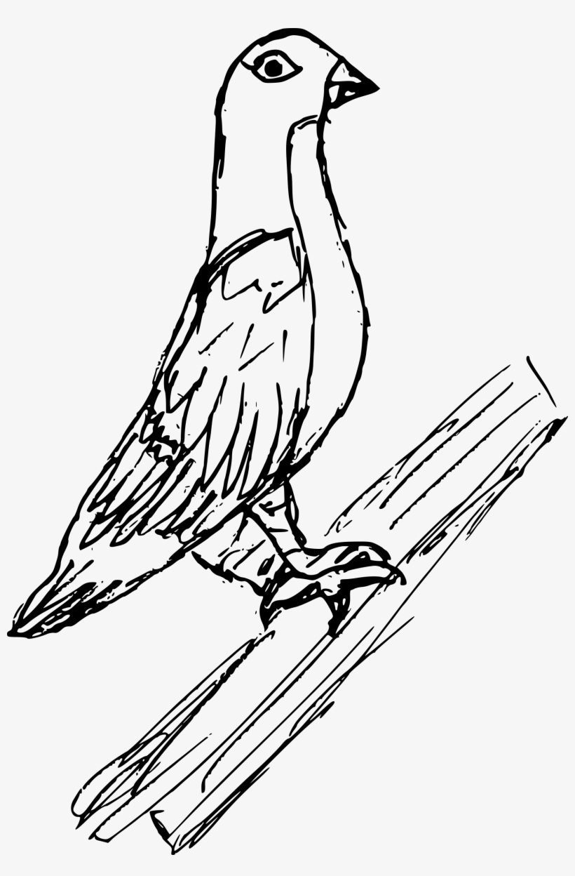 Free Download - Sketch, transparent png download