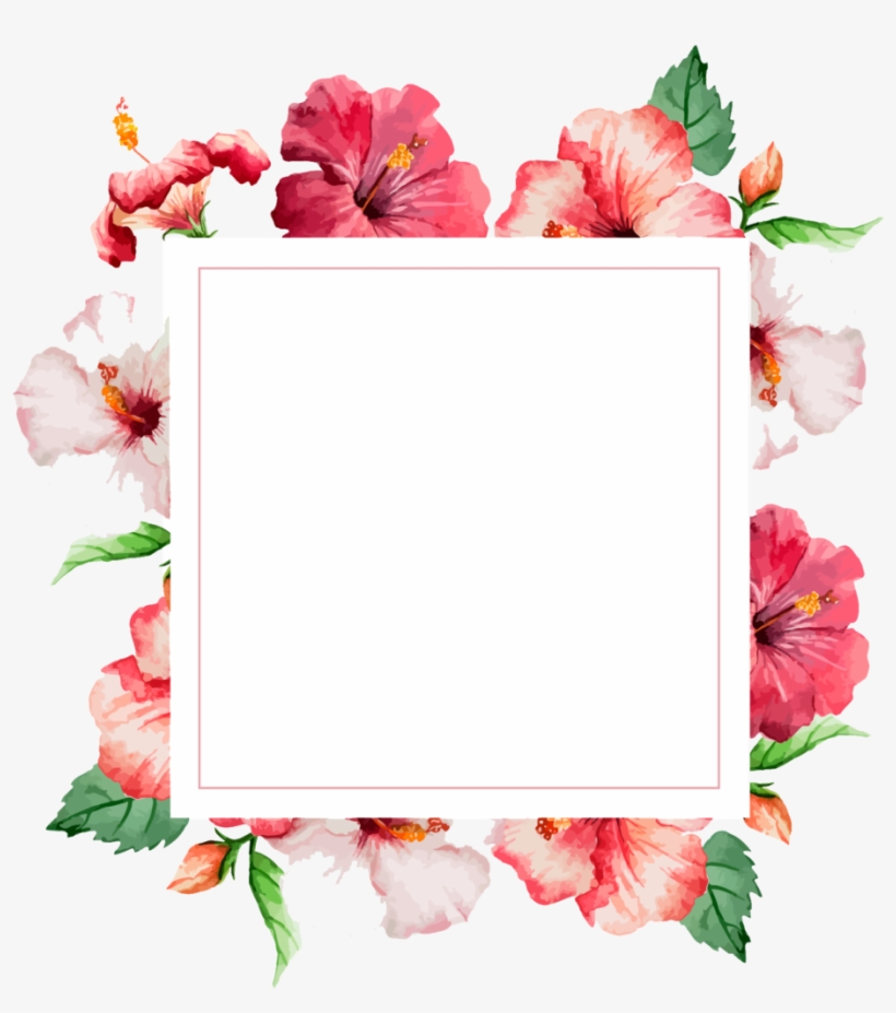 Narozeninové Pozvánky S Květinovým Vzorem - Beautiful Floral Watercolor Frame, transparent png download
