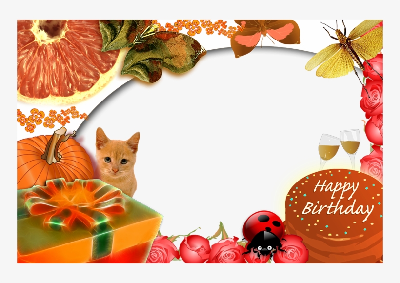 After Uploading The Picture Editor Free To Choose More - Protea, transparent png download