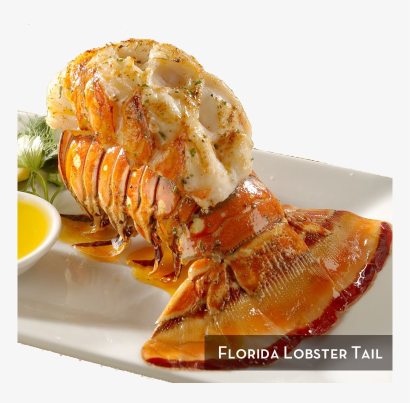 Gallery - Lobster Tail Seafood Png, transparent png download