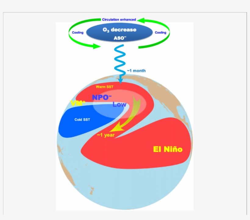 The Two Processes That Combine To Drive The Aso To - Circle, transparent png download
