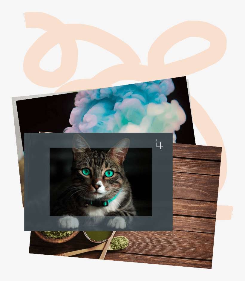We Know Your Visual Brand Matters To You - Domestic Short-haired Cat, transparent png download