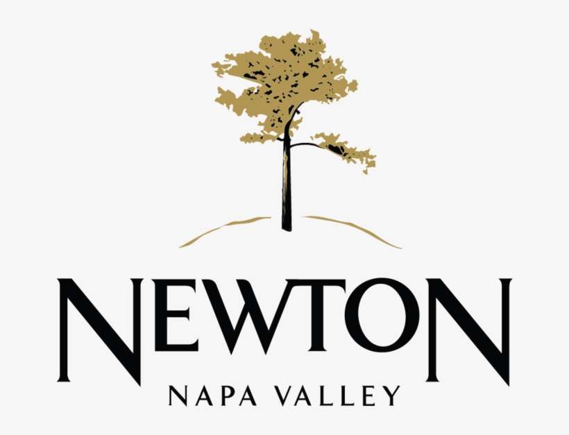 Untitled 2 02 - Tree, transparent png download