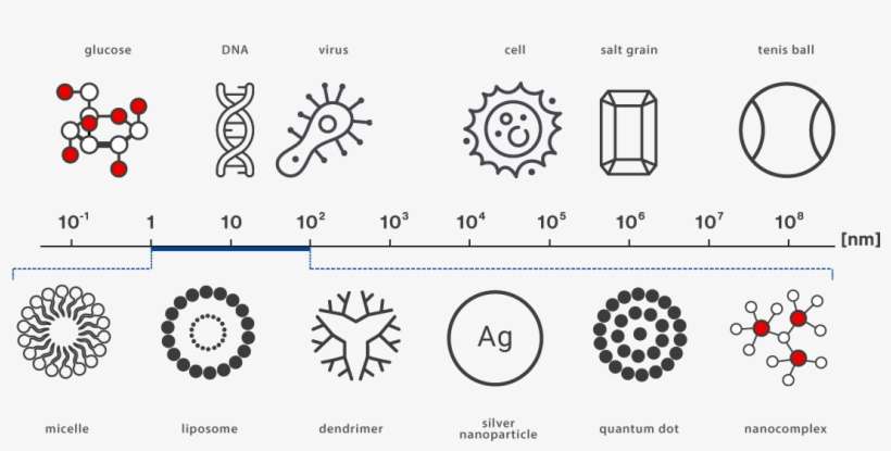 According To The Definition Of The European Commission, - Circle, transparent png download