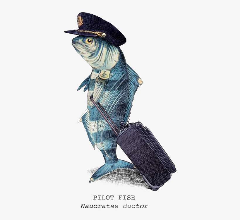 600 X 680 2 - Eric Fan The Pilot, transparent png download