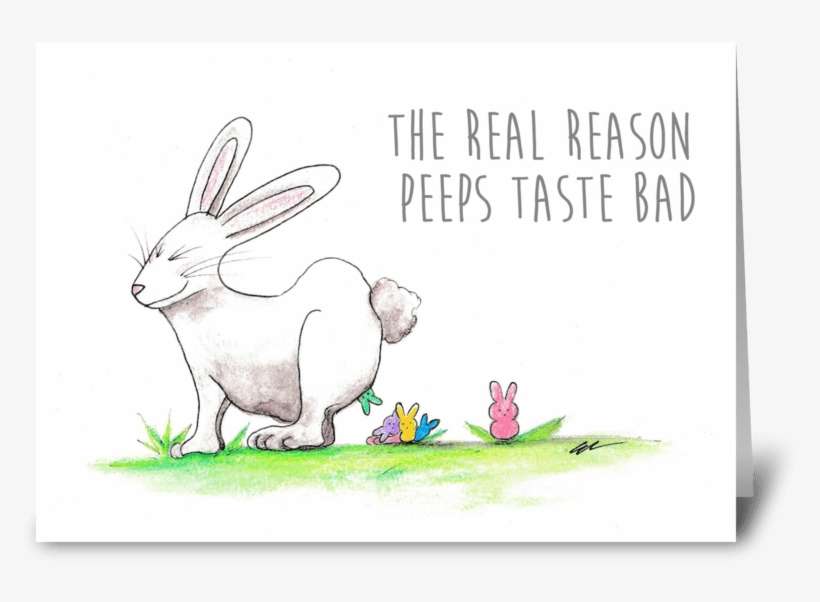 Bunny Peeps Greeting Card - Domestic Rabbit, transparent png download