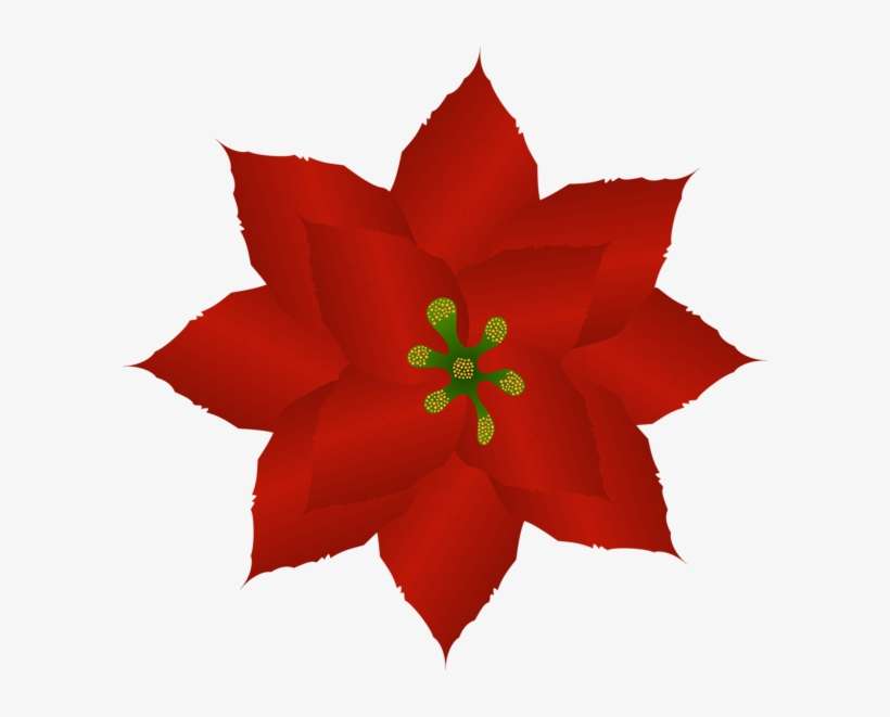 0, - Christmas Poinsettia Flower Template, transparent png download