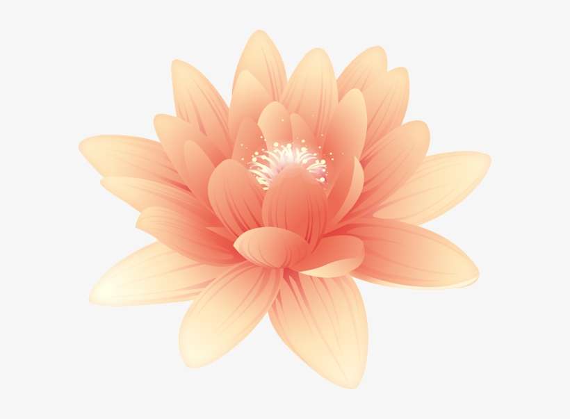 Sacred Lotus, transparent png download