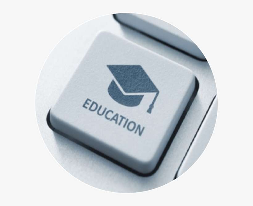 Snomed International Provides Online Courses, Tutorials - Aka Eaf, transparent png download