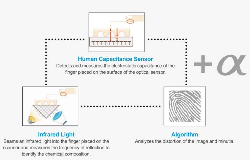 Virdi's Patented Optical Fingerprint Sensor Incorporates - Diagram, transparent png download