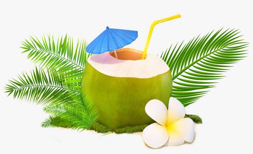 Trendy Coconut - Coconut Water, transparent png download