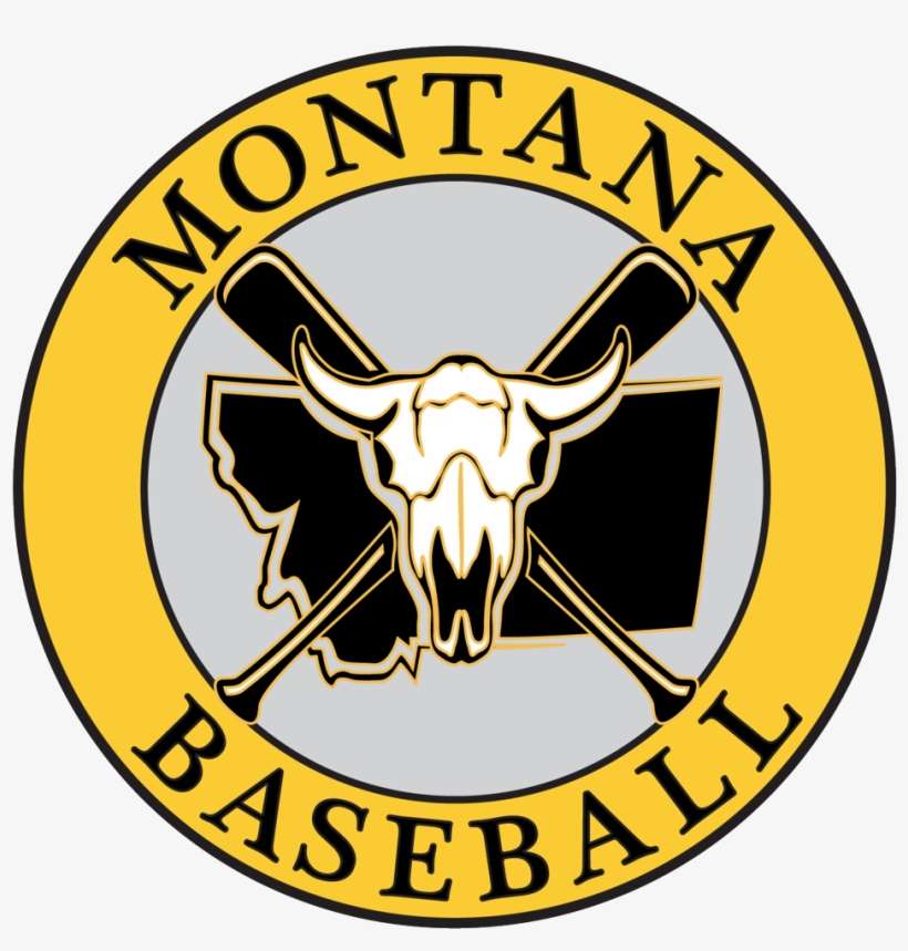 Contact - Logo, transparent png download