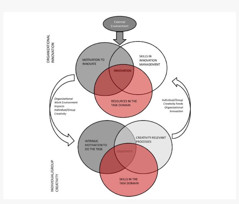 This - Amabile's Creativity, transparent png download