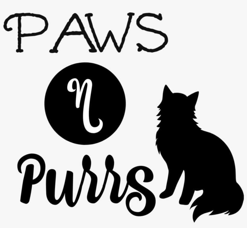 Black Cat, transparent png download