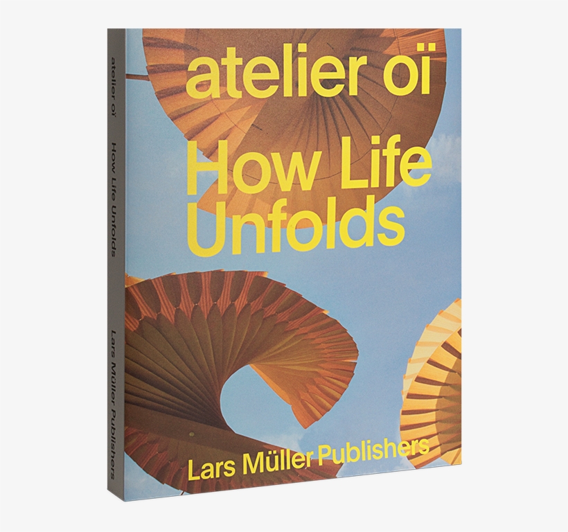 Maidenhair Tree, transparent png download