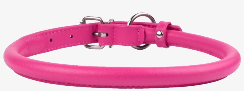Dog Collar Png - Buckle, transparent png download