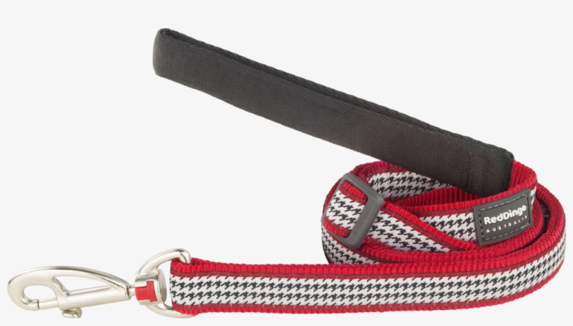 Belt, transparent png download