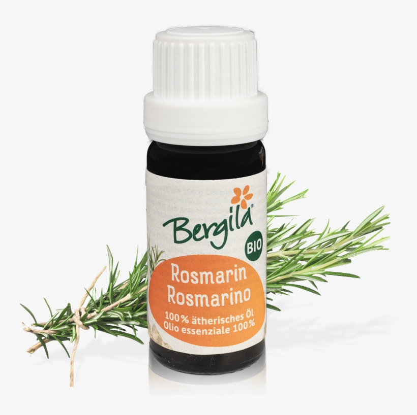 Different Kind Of Rosemary Plants, transparent png download