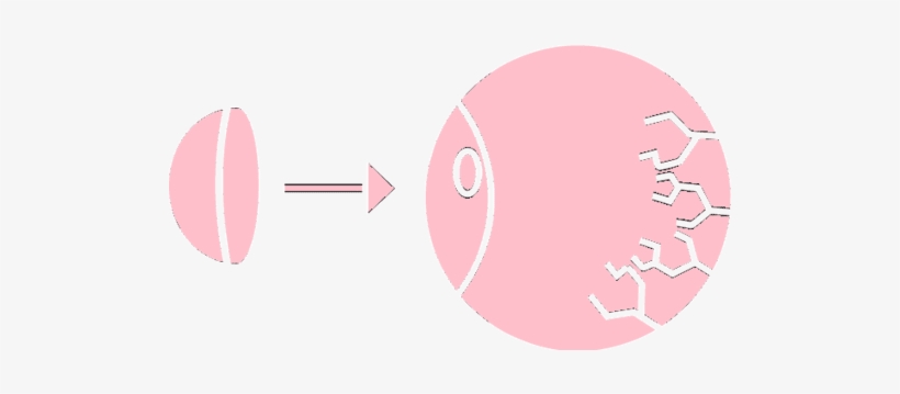 Eye Ball - Circle, transparent png download