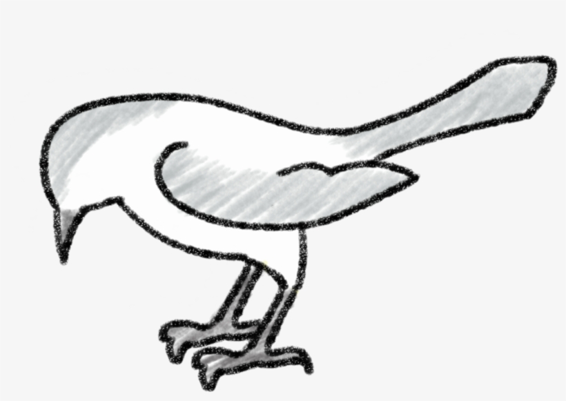 Sketch, transparent png download