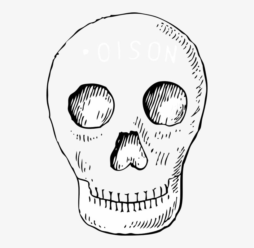 Skull Pirate Head Free Vector Graphic On - Poison Skull, transparent png download