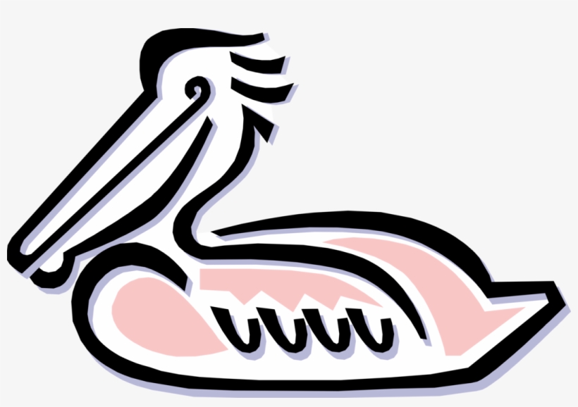 Vector Illustration Of Large Water Bird Pelican, transparent png download