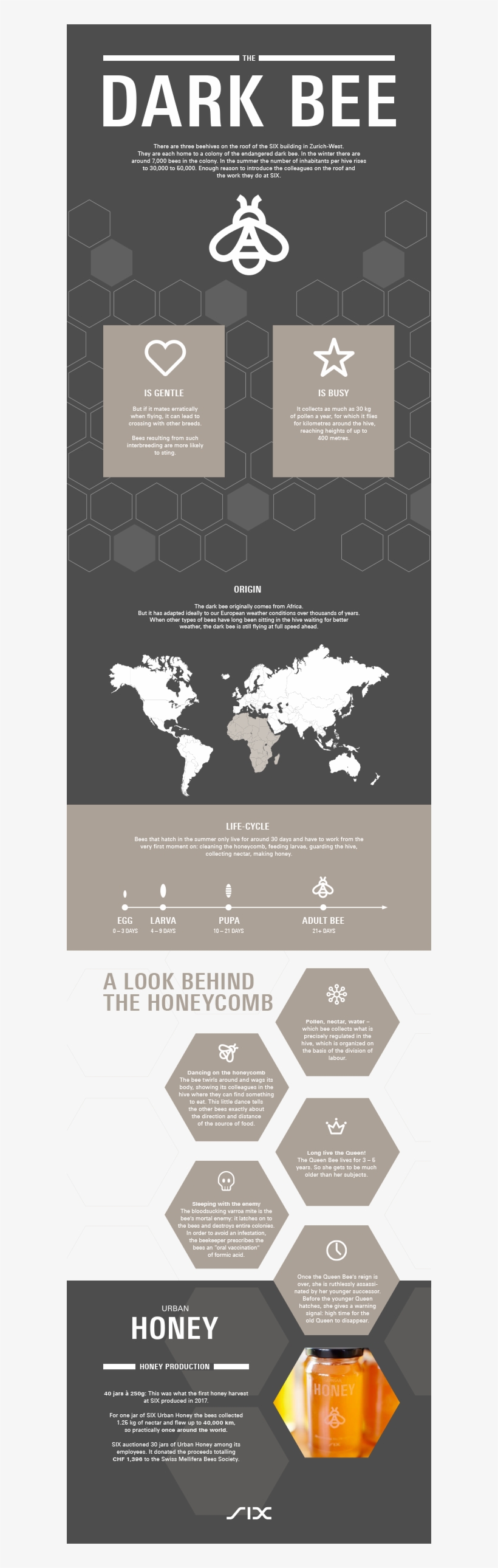 Bee Is Part Of The Sustainability Principle «society - Atlas, transparent png download