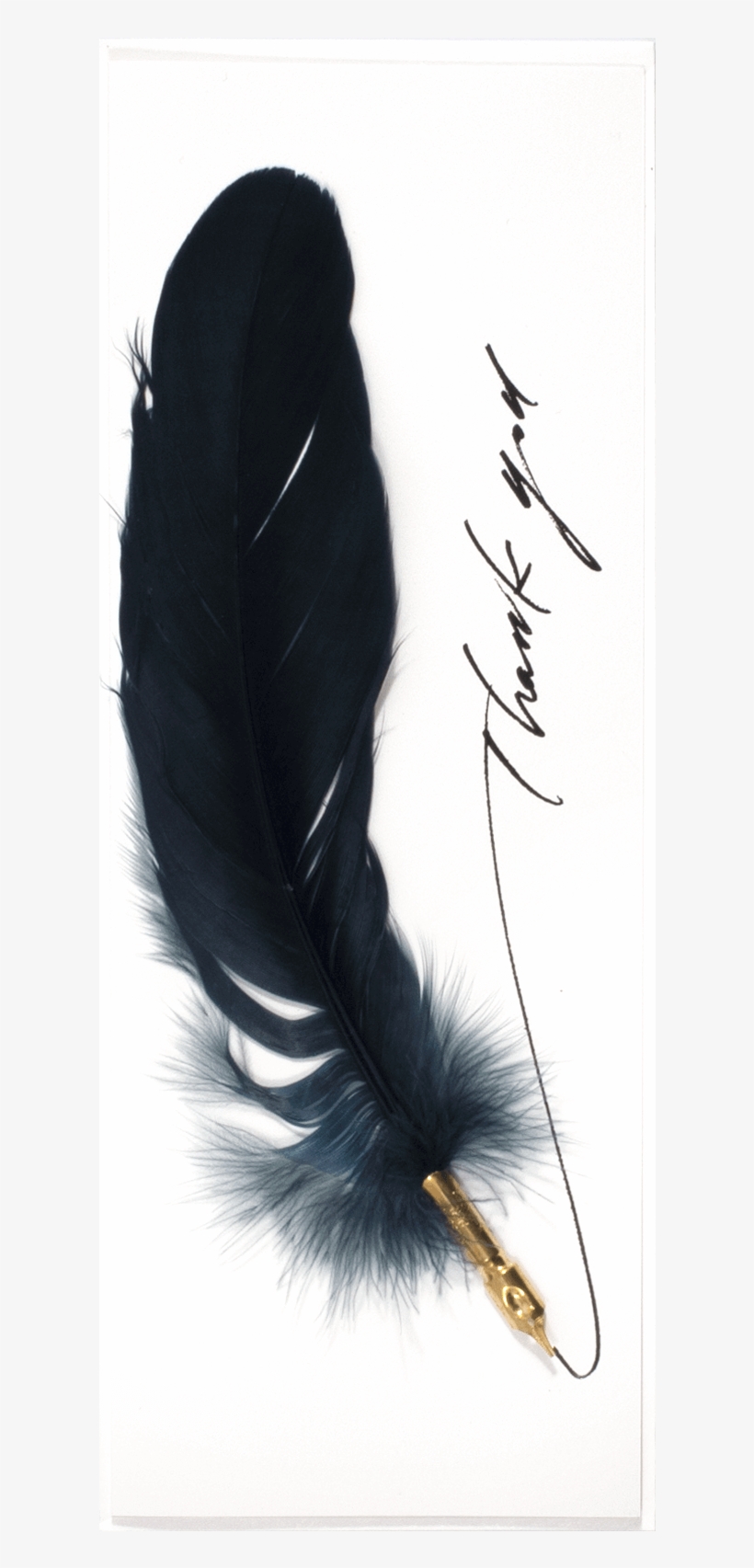 Feather Pen Thanks - Sketch, transparent png download