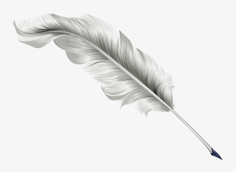 Feather Quill Logo - Quil, transparent png download