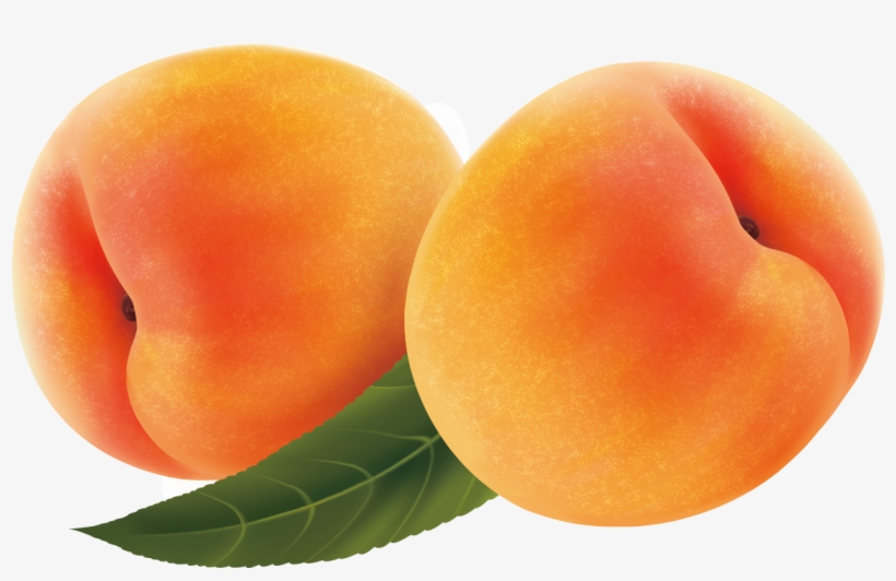 Fruit Peach Transprent Png Free Download - Frutas Durazno, transparent png download