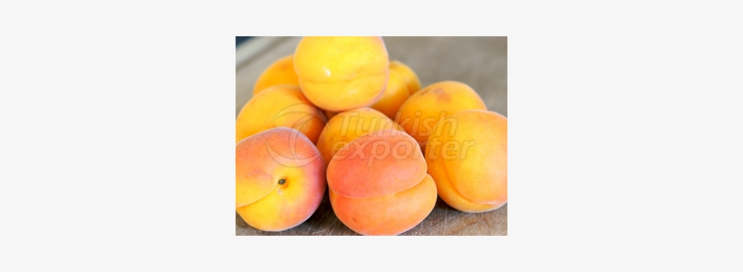 Apricot, transparent png download